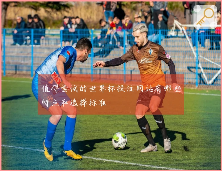 值得尝试的世界杯投注网站有哪些特点和选择标准