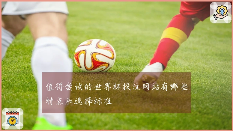 值得尝试的世界杯投注网站有哪些特点和选择标准