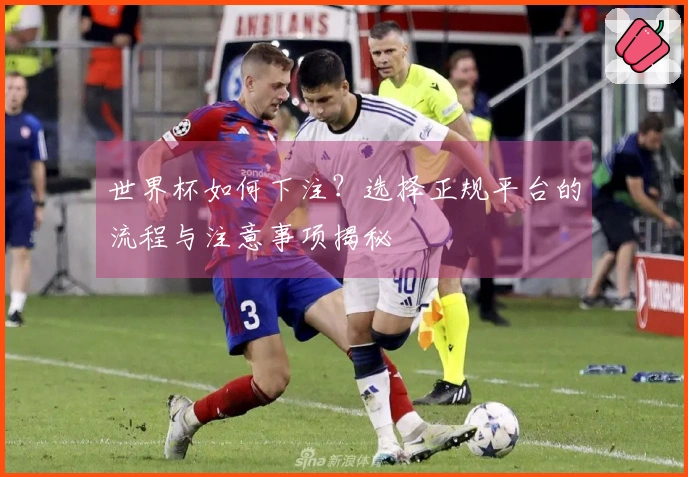 世界杯如何下注？选择正规平台的流程与注意事项揭秘