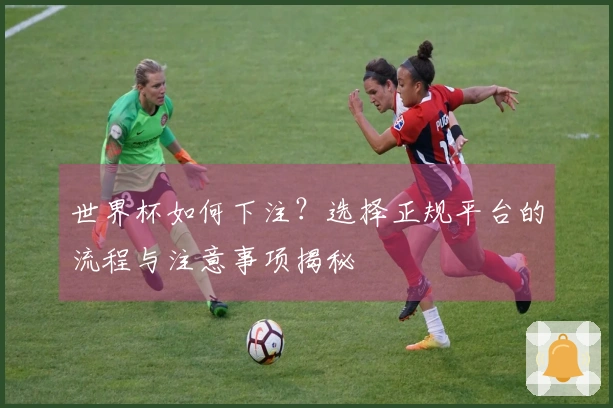 世界杯如何下注？选择正规平台的流程与注意事项揭秘